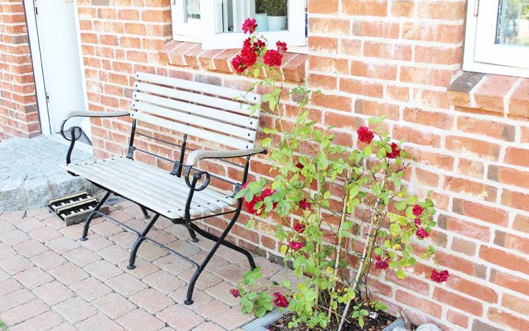 Ferienhaus-Amrum-Soederjaat-1b_4-6-Personen_005